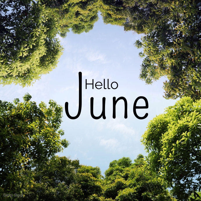 Hello June post instagram Templat | PosterMyWall