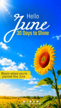 Hello June Sunshine Sunflower Summer Sky Template Instagram Story Video