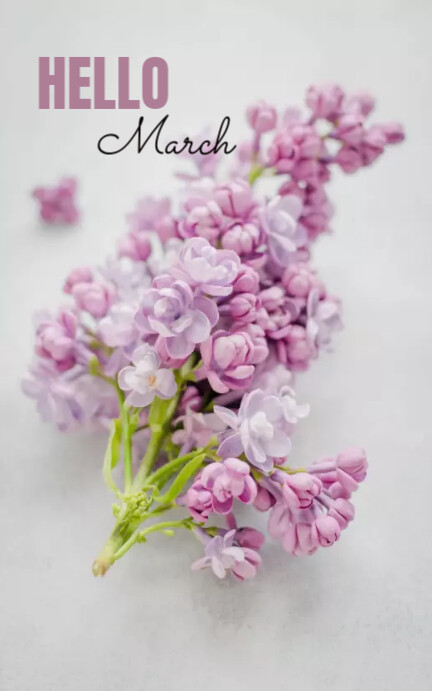 Hello March Template | PosterMyWall