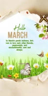Hello March Ibhana Eligoqekela Phezulu 3' × 6' template