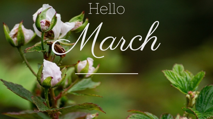 Copy of Hello March flyer template | PosterMyWall