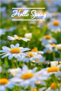 Hello spring march poster Template | PosterMyWall