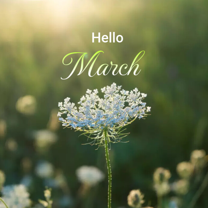 Hello March Template | PosterMyWall
