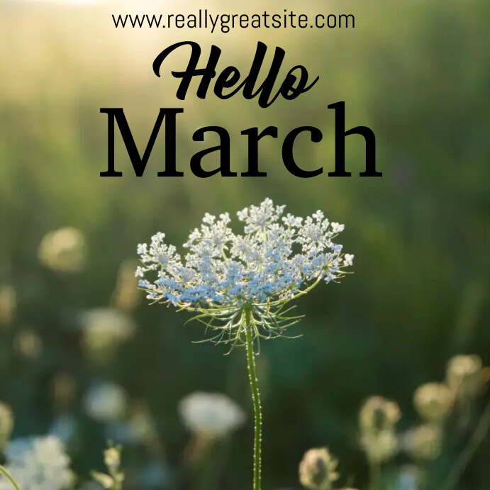 Copy of Hello march templates online Greeting cards | PosterMyWall