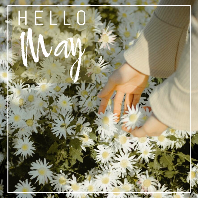 Hello May Tumblr