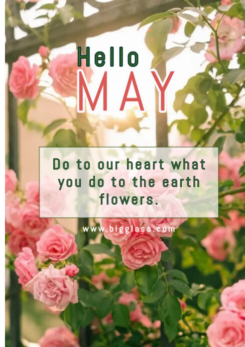 Hello may Template | PosterMyWall