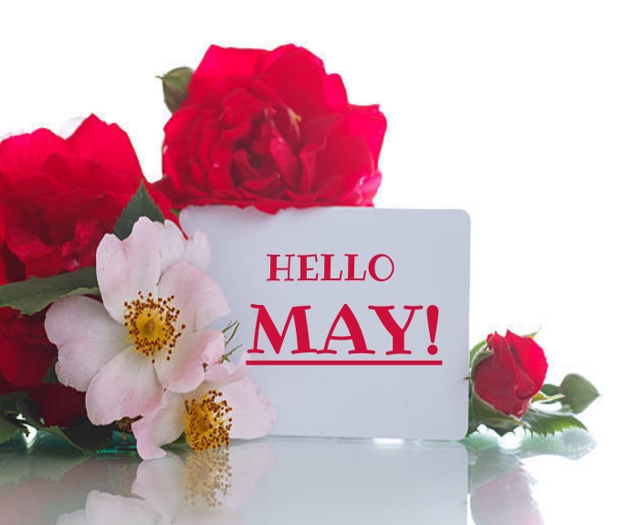 Hello May Medium Rectangle template