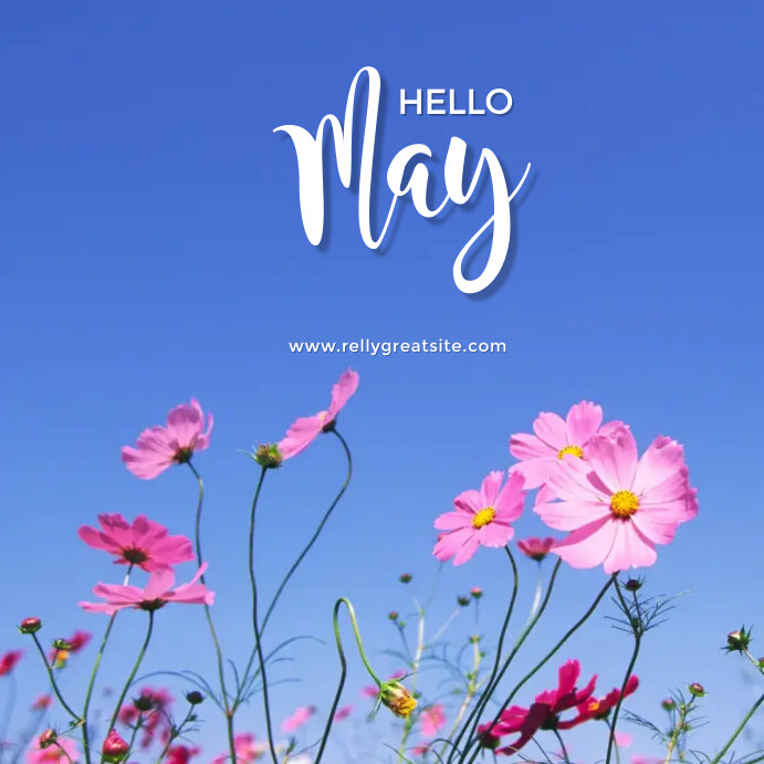 Hello May Template | PosterMyWall