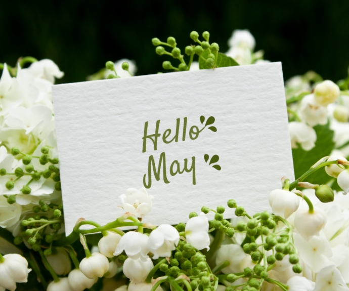 Plantilla de Hello may | PosterMyWall