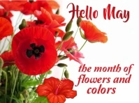 HELLO MAY GREETINGS VIDEO POSTER FOR FRIENDS Gartenschild template