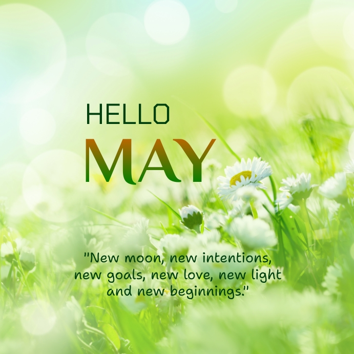 Plantilla de Hello May Instagram Post | PosterMyWall