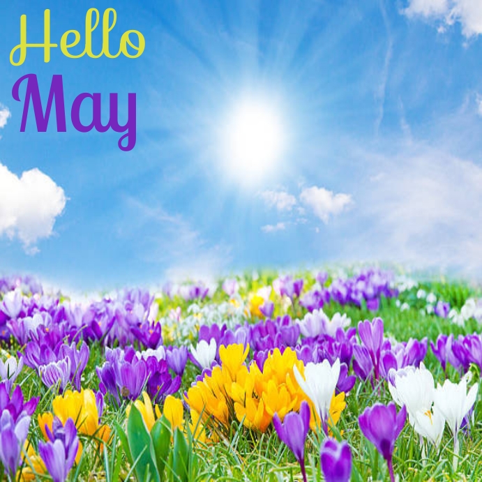 Hello May Instagram Post Template | PosterMyWall