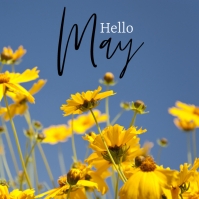 Hello may Template | PosterMyWall