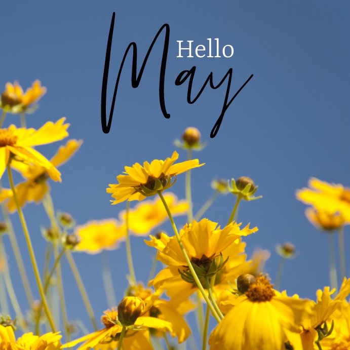 Plantilla de Hello May Poster2 | PosterMyWall