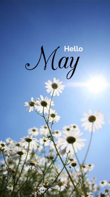 hello may template Instagram Story