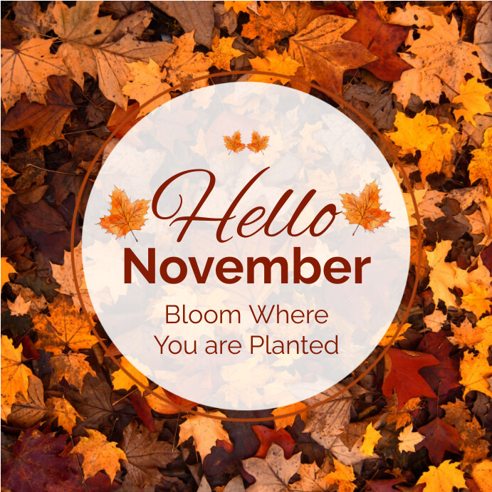 HELLO NOVEMBER Template | PosterMyWall
