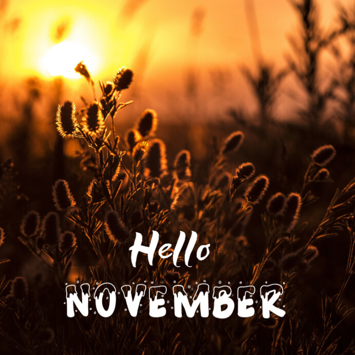 Hello November Instagram post online greeting cards Template | PosterMyWall