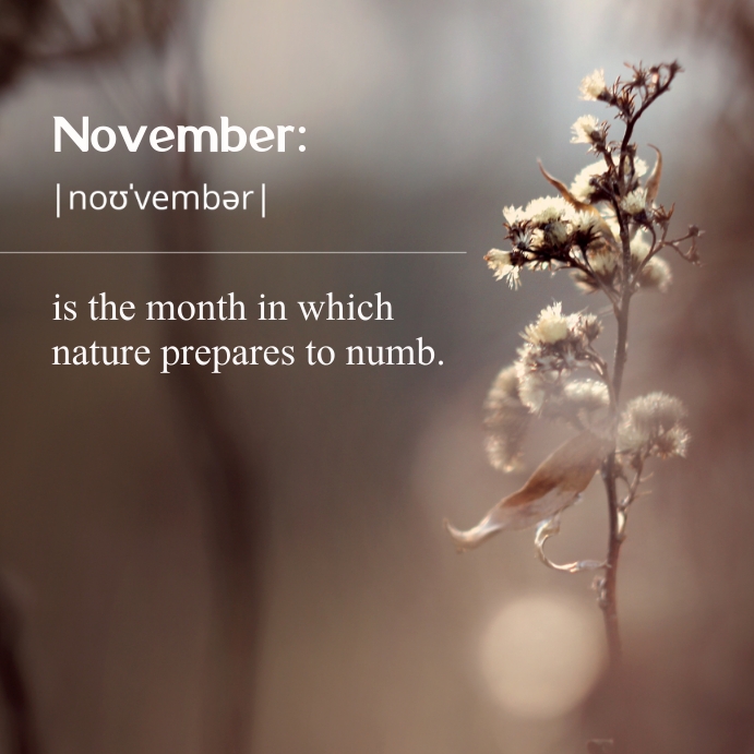 Hello November post for Instagram & Facebook Template | PosterMyWall