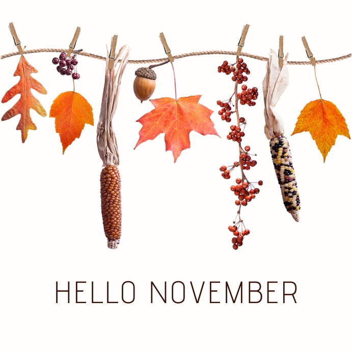 Hello November post for Instagram & Facebook Template | PosterMyWall