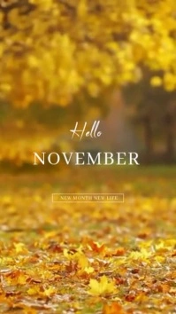 hello november video template