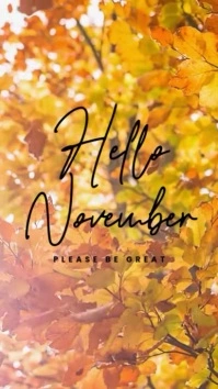 hello november video Instagram Reel template