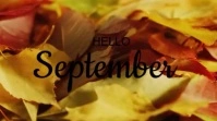 Hello September video Digitalanzeige (16:9) template
