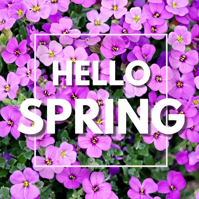 HELLO SPRING 44 Template | PosterMyWall