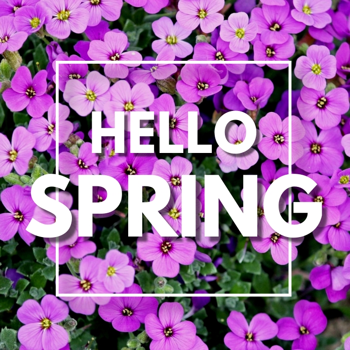 HELLO SPRING 75 Template | PosterMyWall