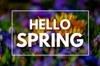 HELLO SPRING 84 Template | PosterMyWall