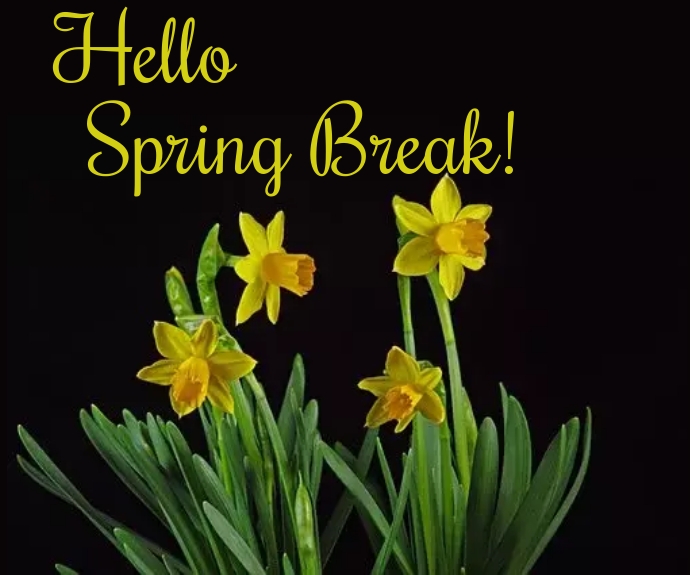 Hello spring break Template | PosterMyWall
