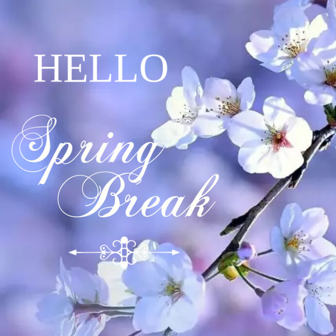 Copy of HELLO SPRING BREAK | PosterMyWall