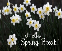hello spring break Template | PosterMyWall