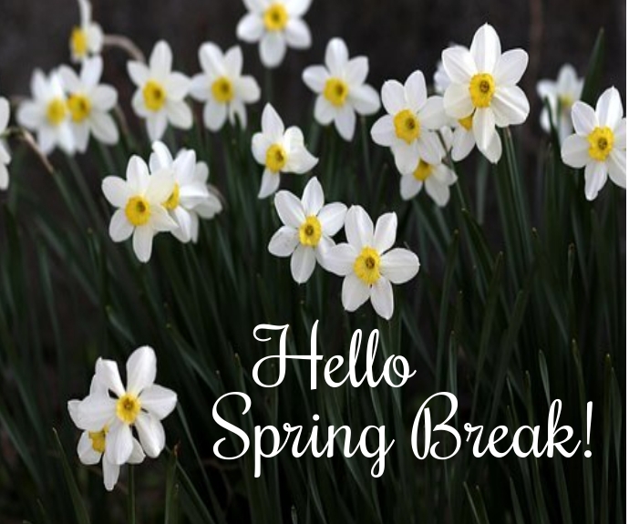 hello spring break Template | PosterMyWall
