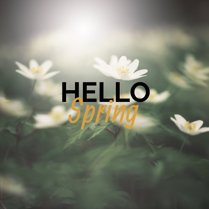 Copia de HELLO SPRING 95 | PosterMyWall