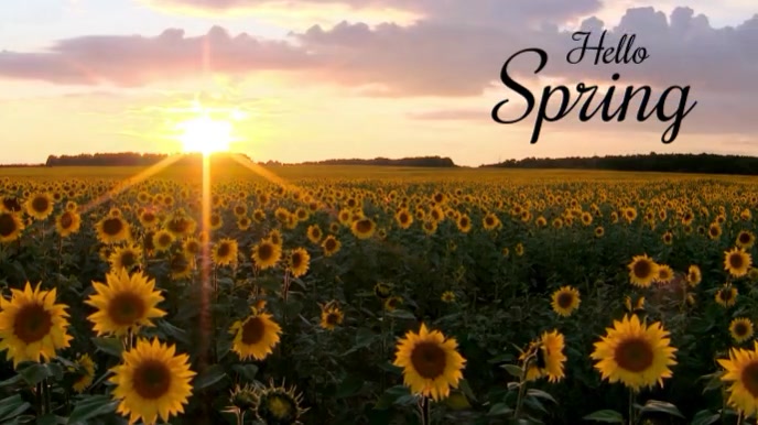 hello spring Template | PosterMyWall