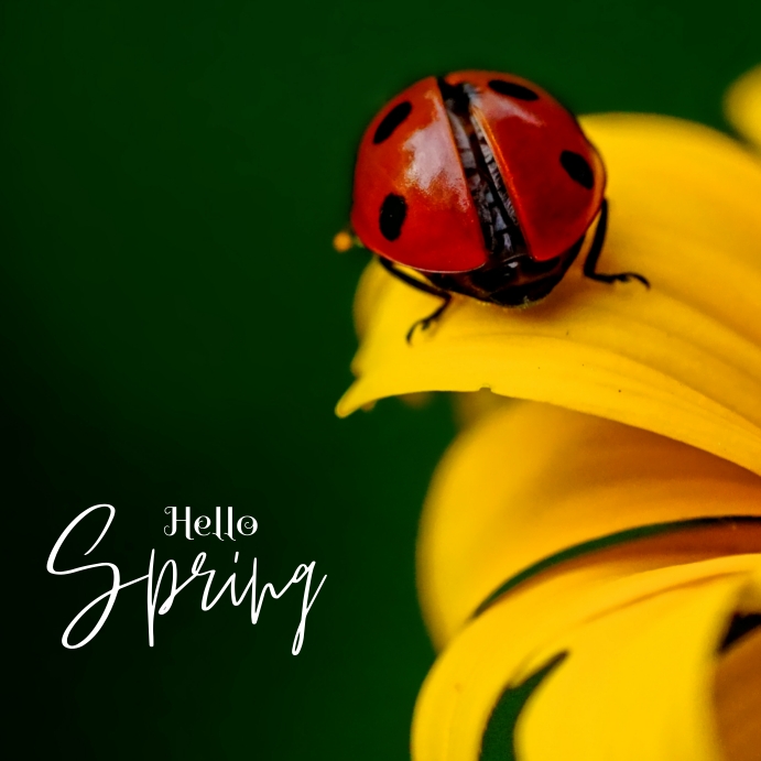 hello spring Template | PosterMyWall