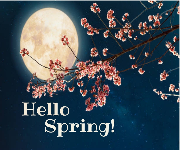 Hello spring Template | PosterMyWall