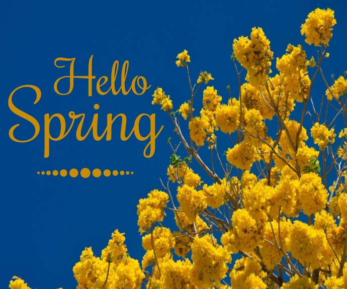 Hello spring Template | PosterMyWall