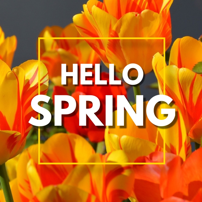 HELLO SPRING Template | PosterMyWall