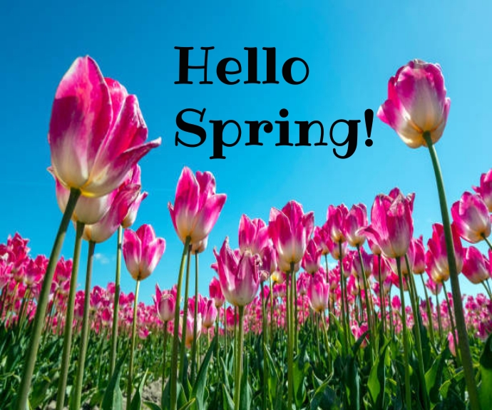 Copy of Hello spring | PosterMyWall