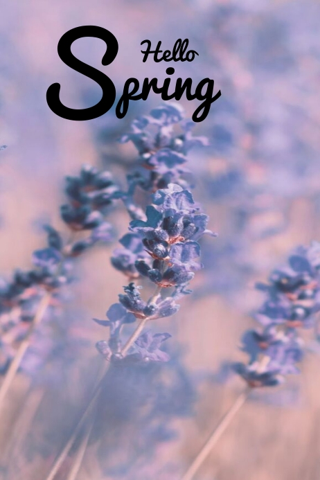 hello spring Poster template
