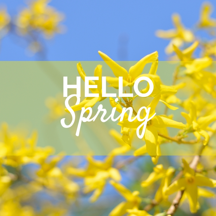 Spring 91 HELLO SPRING 91 Template | PosterMyWall