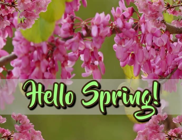 Hello Spring Template | PosterMyWall