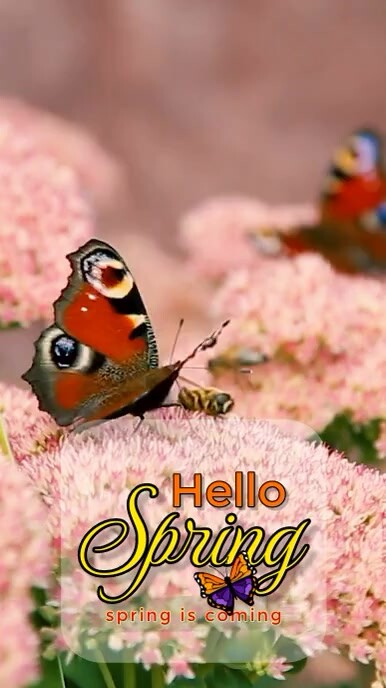 Hello Spring Video Hello Spring Template | PosterMyWall