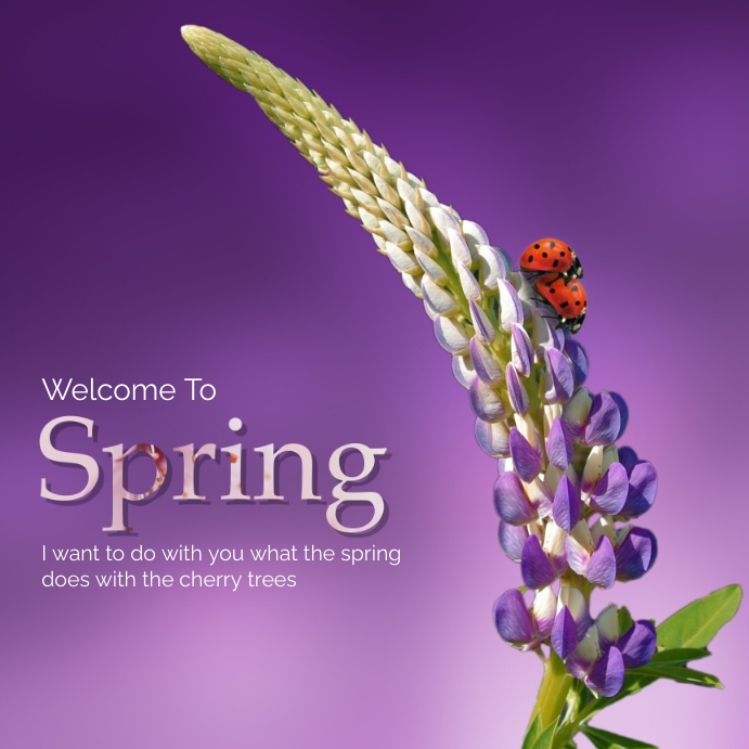 Hello spring Template | PosterMyWall