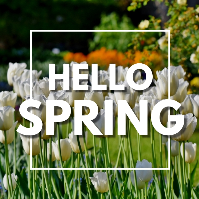 Hello Spring Classes HELLO SPRING Template | PosterMyWall