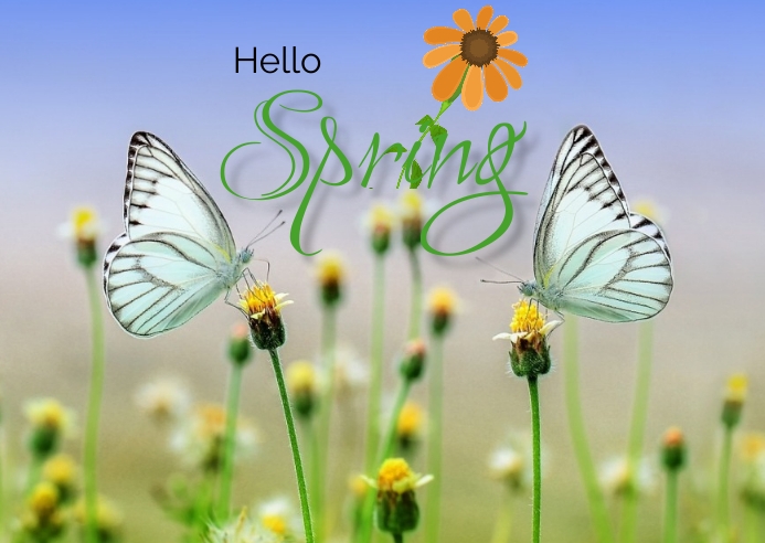 Hello spring Postcard template