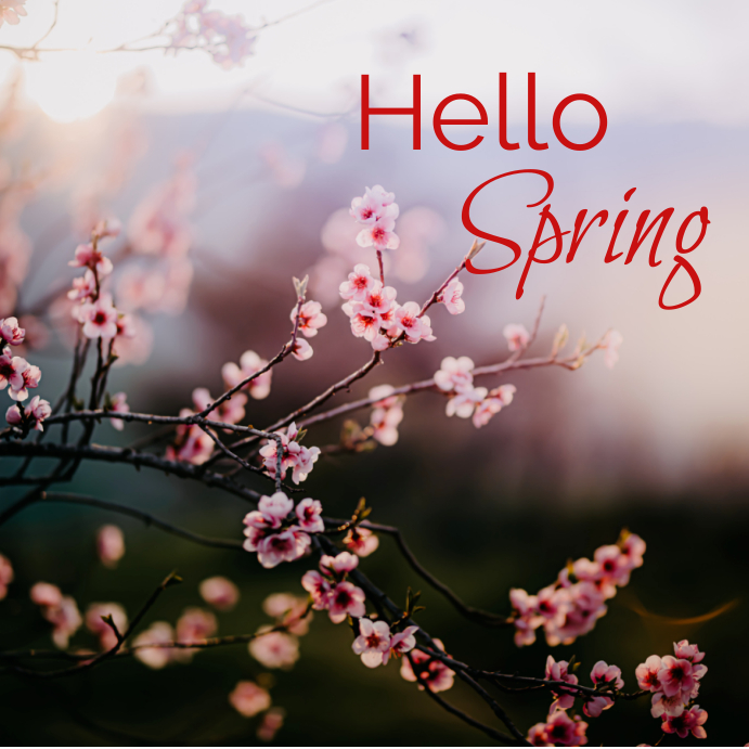 Plantilla de Hello Spring | PosterMyWall