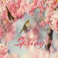 Hello spring Template | PosterMyWall