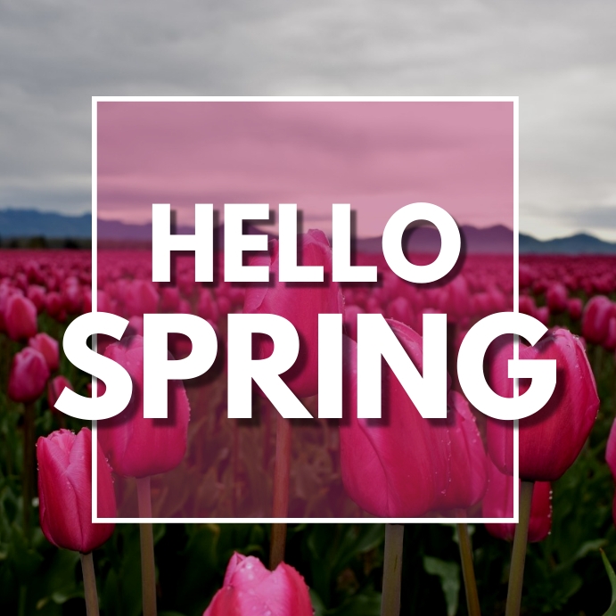 Copy of HELLO SPRING | PosterMyWall